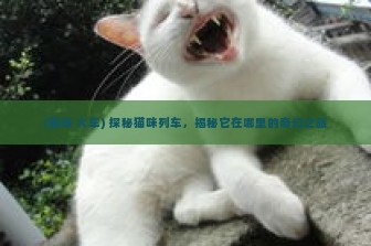 (猫咪 火车) 探秘猫咪列车，揭秘它在哪里的奇幻之旅