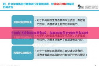 十月鹰飞破解版深度解析，揭秘破解背后的秘密与风险